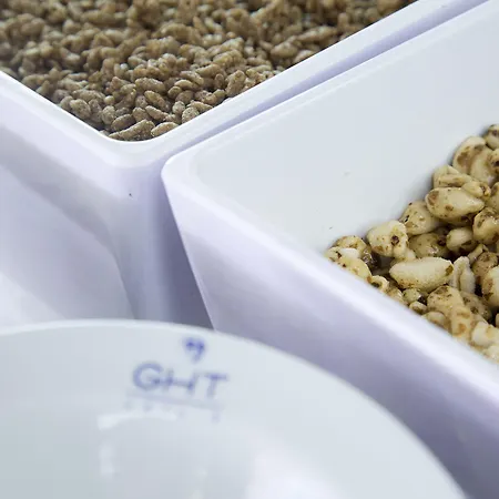 Ght Neptuno-tossa & Venus Hotel Tossa de Mar