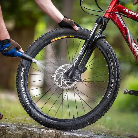 Ght Neptuno-tossa & Venus